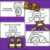 Bats Mini Book for Early Readers