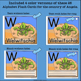 Alphabet Flash Cards for Early Readers - Country of Angola