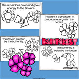 Rainforest Food Chain Mini Book for Early Readers - Food Chains
