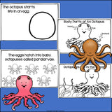 Octopus Mini Book for Early Readers