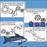 Ocean Food Chain Mini Book for Early Readers - Food Chains