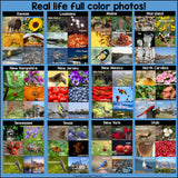 50 states photo post collages