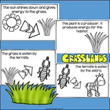 Grasslands Food Chain Mini Book for Early Readers - Food Chains