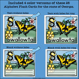 Georgia Flash Cards