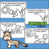 Coniferous Forest Food Chain Mini Book