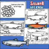 Salmon Mini Book for Early Readers
