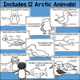The Antarctic Mini Book for Early Readers: Antarctic Animals