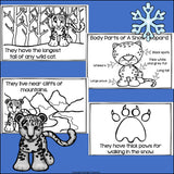 Snow Leopard Mini Book for Early Readers