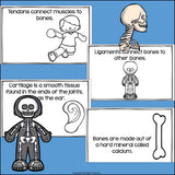 Human Body Systems: Skeletal System Mini Book for Early Readers