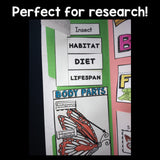 Butterflies Lapbook for Early Learners