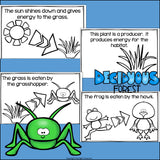 Deciduous Forest Food Chain Mini Book for Early Readers - Food Chains