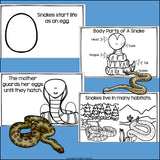Snakes Mini Book for Early Readers