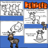 Reindeer Mini Book for Early Readers