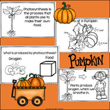 Pumpkins Mini Book for Early Readers