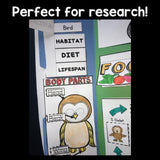 Owls Lapbook for Early Learners