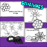 Spiders Mini Book for Early Readers