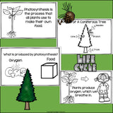 Trees Mini Book for Early Readers