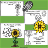 Sunflowers Mini Book for Early Readers