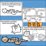 Desert Food Chain Mini Book for Early Readers - Food Chains