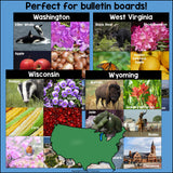 50 states photo post collages