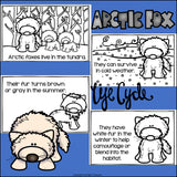 Arctic Fox Mini Book for Early Readers