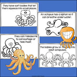 Octopus Mini Book for Early Readers
