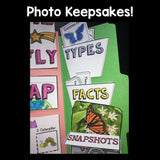 Butterflies Lapbook for Early Learners