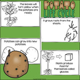 Potato Mini Book for Early Readers