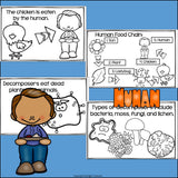 Human Food Chain Mini Book for Early Readers - Food Chains