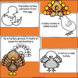 Turkeys Mini Book for Early Readers