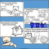 Tundra Food Chain Mini Book for Early Readers - Food Chains