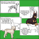 Dogs Mini Book for Early Readers