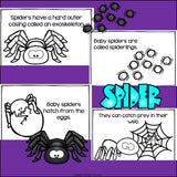Spiders Mini Book for Early Readers