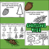 Trees Mini Book for Early Readers