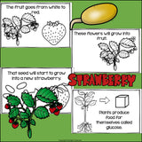 Strawberry Mini Book for Early Readers