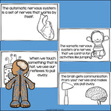 Human Body Systems: Nervous System Mini Book for Early Readers