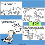 Marsh Food Chain Mini Book for Early Readers - Food Chains