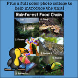 Rainforest Food Chain Mini Book for Early Readers - Food Chains