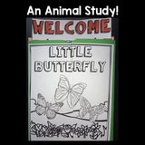 Butterflies Lapbook for Early Learners
