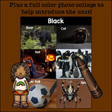 Colors of the Week: Brown Mini Book