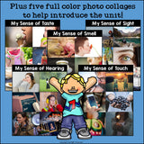 Five Senses Mini Book for Early Readers
