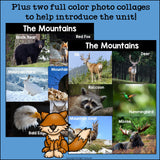 The Mountains Mini Book for Early Readers: Mountain Animals