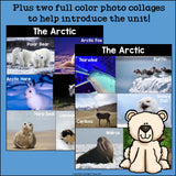 The Arctic Mini Book for Early Readers: Arctic Animals