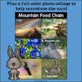 Mountains Food Chain Mini Book for Early Readers - Food Chains