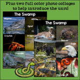 The Swamp Mini Book for Early Readers: Swamp Animals