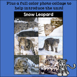 Snow Leopard Mini Book for Early Readers