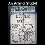 Owls Lapbook for Early Learners