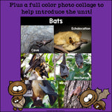 Bats Mini Book for Early Readers