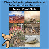 Desert Food Chain Mini Book for Early Readers - Food Chains