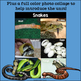 Snakes Mini Book for Early Readers